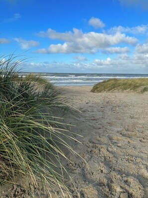 Playa