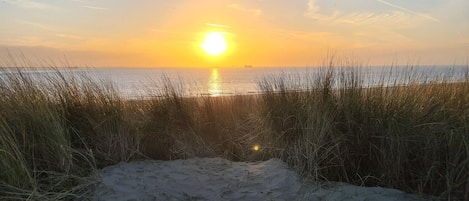 Tæt på stranden
