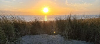 Dual Holiday Cottage for 8 in Baarland