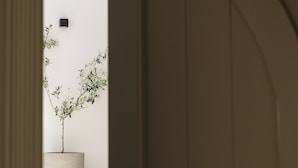 Una puerta que da a una habitación con una planta en maceta y una pared blanca.