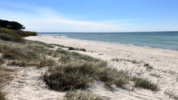 Ein Strand mit Dünen und blauem Himmel.