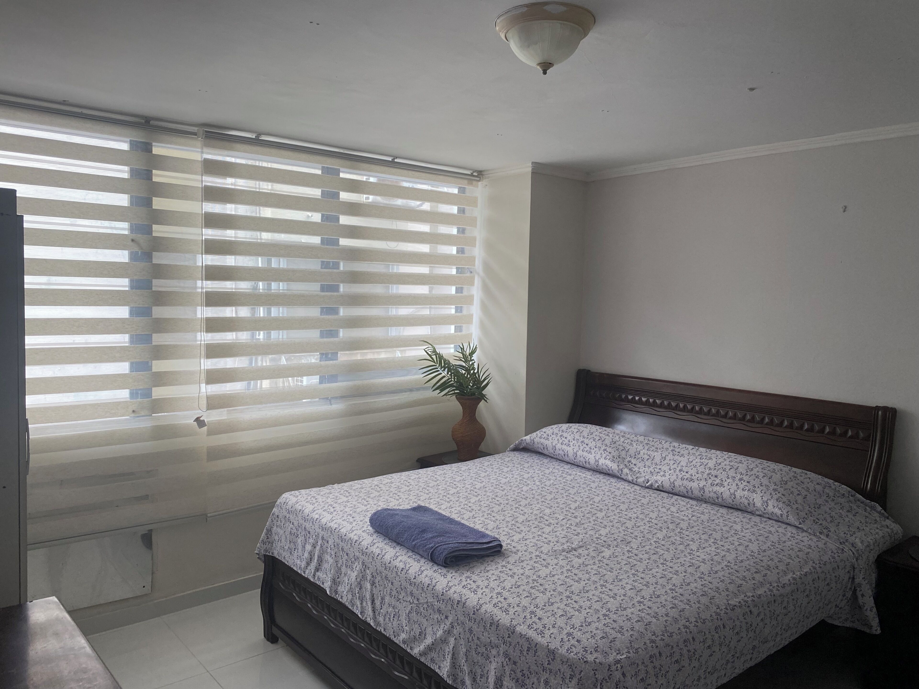 A bedroom with a bed, a potted plant, and a window with blinds.