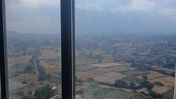A view through a window of a cityscape with fields and buildings.