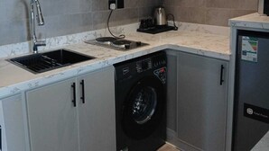A compact kitchen with a built-in dishwasher, a sink, and a stove.