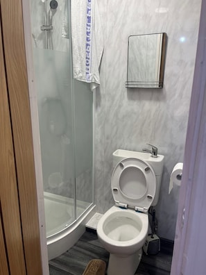 Un baño con ducha de vidrio, inodoro y toallero.
