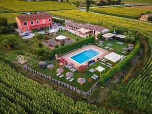 Eine Villa mit Swimmingpool, Außenbereich zum Sitzen und einem Weinberg im Hintergrund.