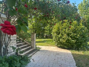 Uma escadaria de pedra leva a um jardim com flores vermelhas e vegetação verde.