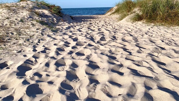 Ein Sandweg am Strand, der zum Meer führt, mit Dünen an beiden Seiten.