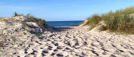 On the beach