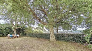 A large tree with a thick trunk and dense foliage in a landscaped area with a hedge and a bench. - Villa lake view, pets welcome - 6 guests (Soustons)