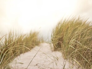 Ein sandiger Pfad, der von hohem Gras gesäumt wird.