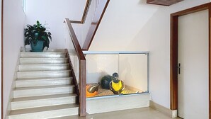 Una escalera con barandilla de madera que lleva a una plataforma.