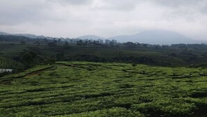 Un paisaje con campos en terrazas y cielo nublado.