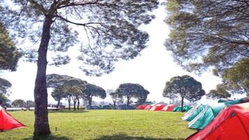 Tent | Property grounds