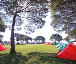 A grassy area with multiple tents, trees, and a clear sky. - Cozzy Camp WWS Pangalengan (bandung)