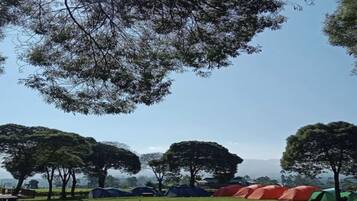 Tent | Miscellaneous