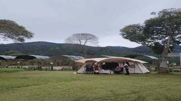 Tent | Property grounds