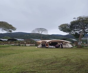 Tent | Property grounds - Cozzy Camp WWS Pangalengan (bandung)