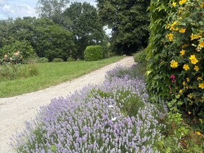 Property grounds - Family home with pool - 8 guests (Amné en Champagne)