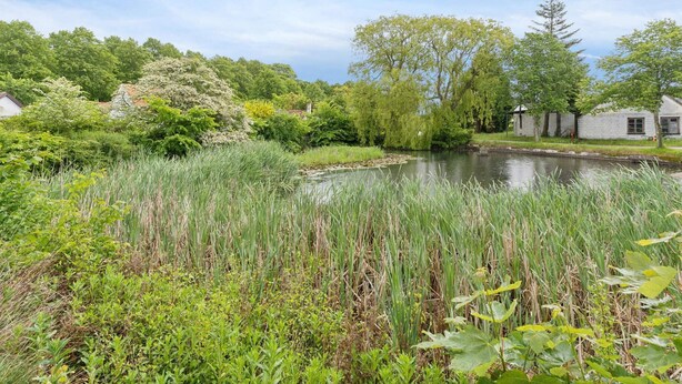 Un cadre paisible au bord de la rivière, avec une végétation luxuriante, une étendue d’eau calme et des bâtiments de style traditionnel.