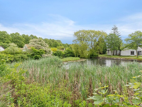 Eine friedliche Flusslandschaft mit üppigem Grün, ruhigem Gewässer und traditionellen Gebäuden.