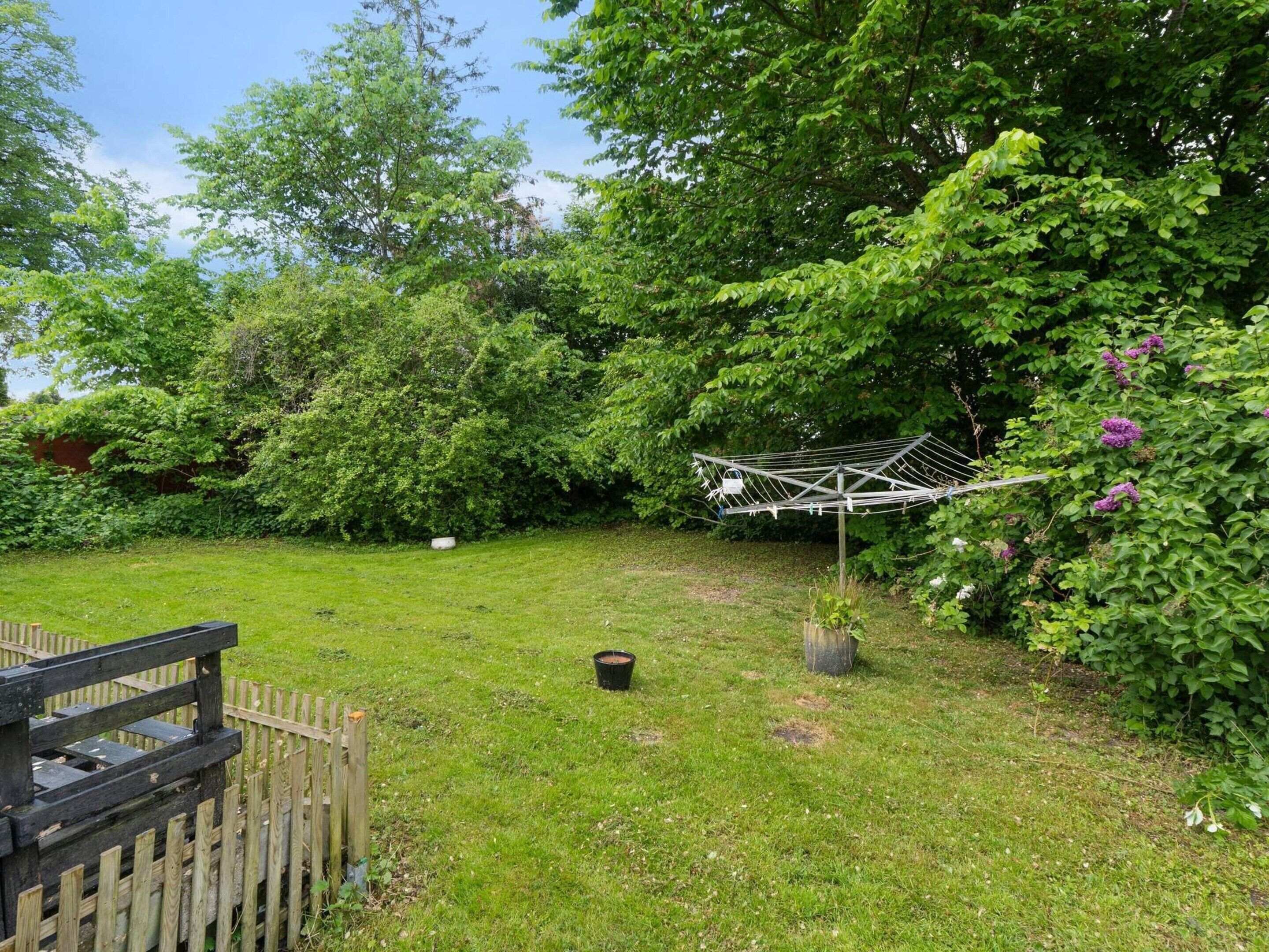 A grassy backyard with a wooden fence, a clothesline, and various plants.
