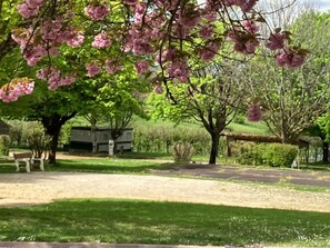 Ein Park mit Kirschblüten, einer Bank und einem Gebäude im Hintergrund.
