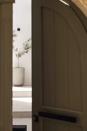 Une porte qui mène à une pièce où se trouve une plante en pot et un mur blanc.
