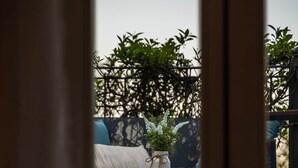 Vista a través de una ventana que muestra una cama, una planta y una cerca.