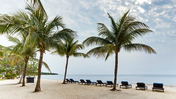 A beach with palm trees and blue lounge chairs facing the ocean. - Private 2BR 3RD Floor Villa-Shared Pool-Beach (North Placencia)