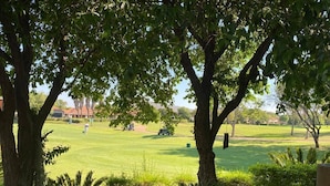 Ein Golfplatz mit Bäumen und Grün im Vordergrund.
