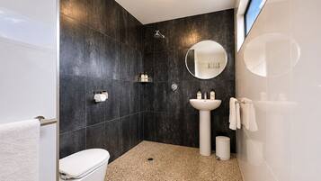 Shower, hair dryer, towels, soap