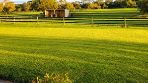 Un campo cubierto de hierba con una valla de madera, una pequeña construcción de madera y árboles al fondo.