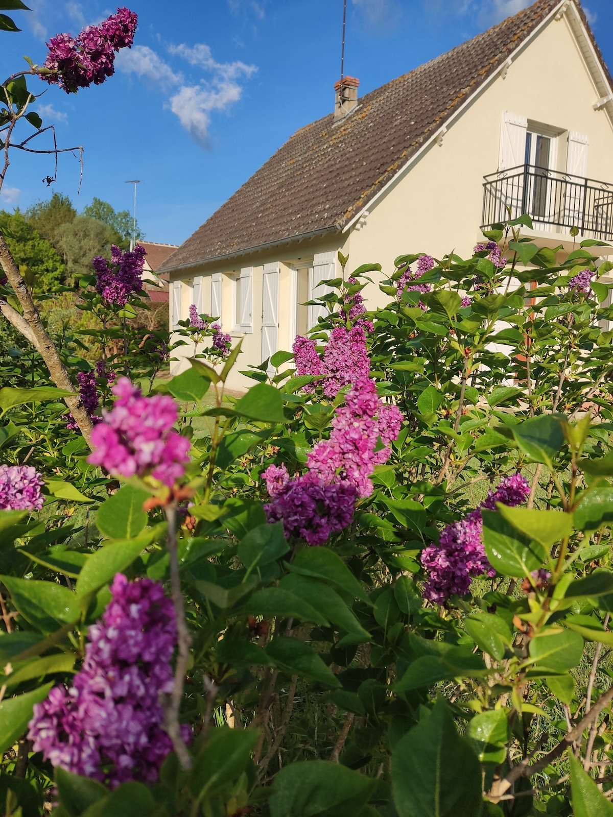 Image de profil de l’hôte