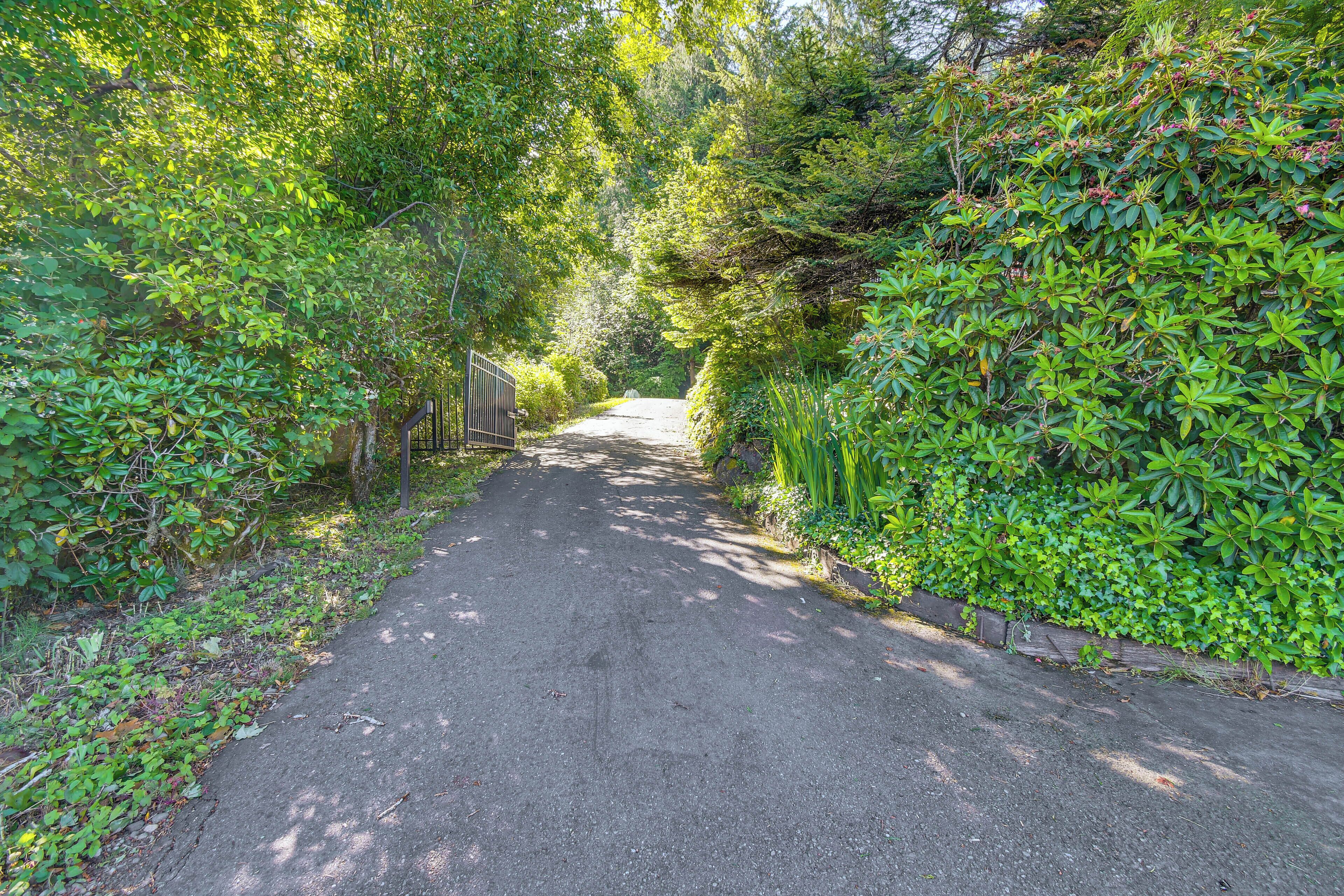 A paved pathway flanked by dense greenery and a metal fence.