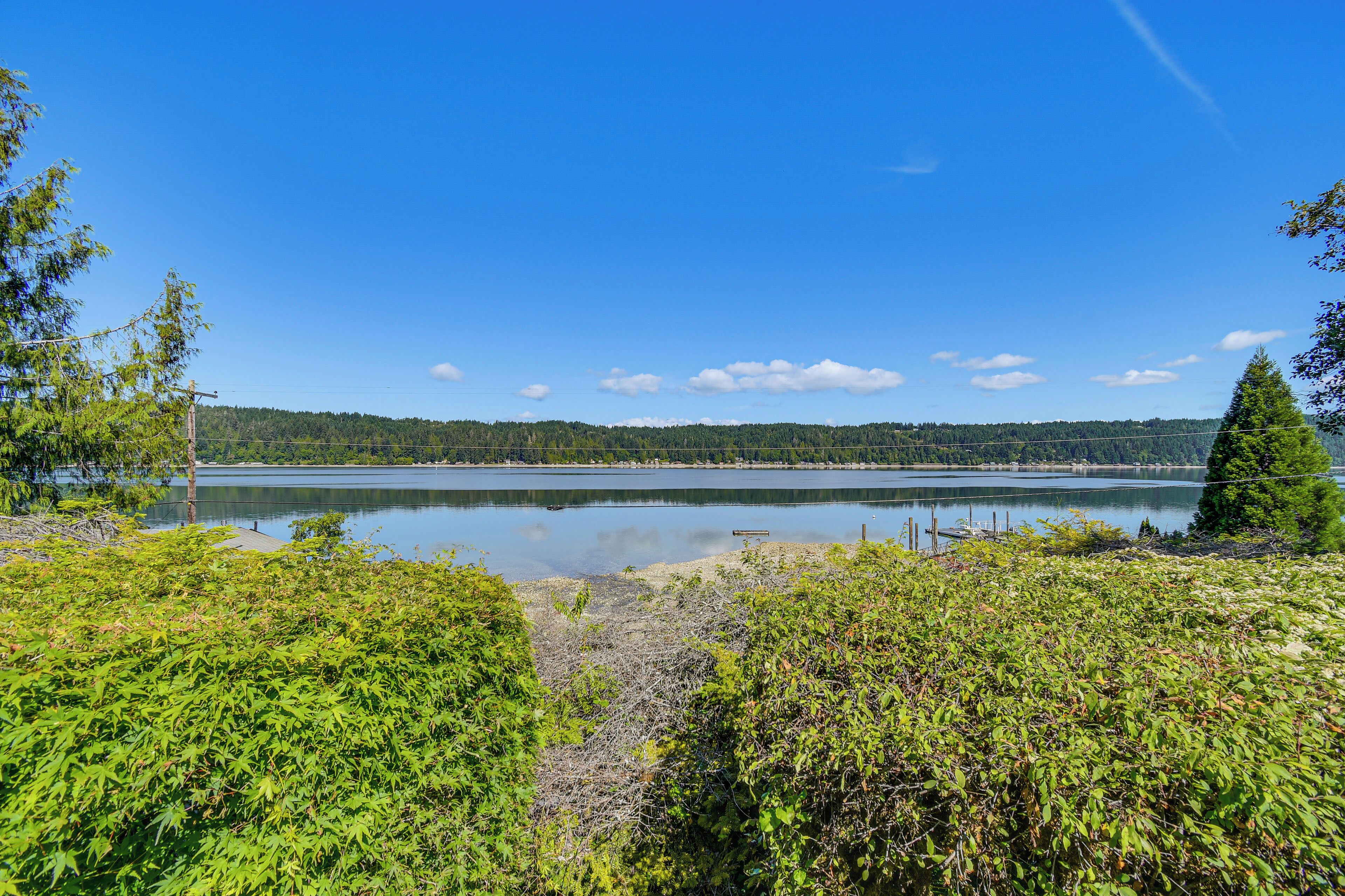 A serene lake with dense greenery and a clear sky.