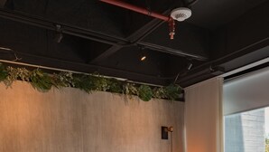 Une chambre à coucher moderne avec un grand lit, du linge de lit blanc et une plante verte accrochée au mur.
