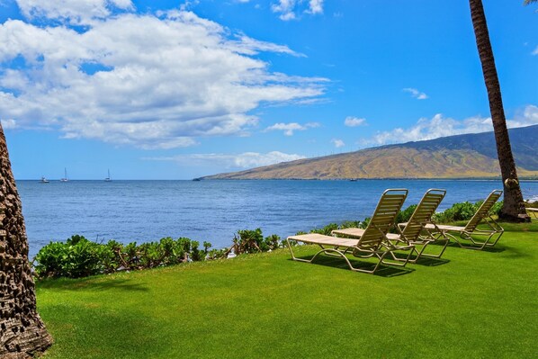 A coastal view with a grassy area, lounge chairs, and a clear sky. - Kihei Beach, #108 1 Bedroom Condo (Kihei)