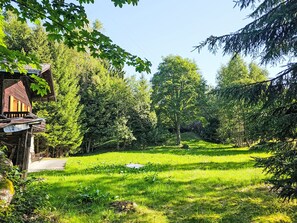 Uma casa rústica de madeira com varanda, rodeada por vegetação exuberante e árvores.