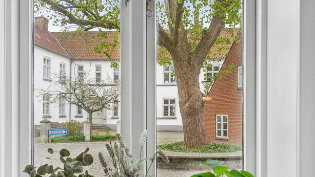 Ein Fenster mit drei Blumentöpfen auf einem Fensterbrett, mit Blick auf eine Straße mit Gebäuden und einem Baum.