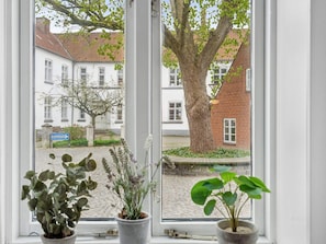 Een raam met drie potplanten op een vensterbank, met uitzicht op een straat met gebouwen en een boom.
