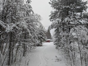 Property grounds - Traditional Swedish Home, Northern Lights, Gulf of Bothnia, Sleeps 5 (Kinnbäck)
