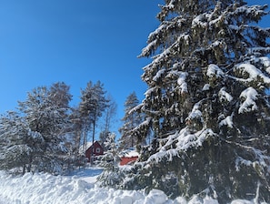Terrain de l’hébergement