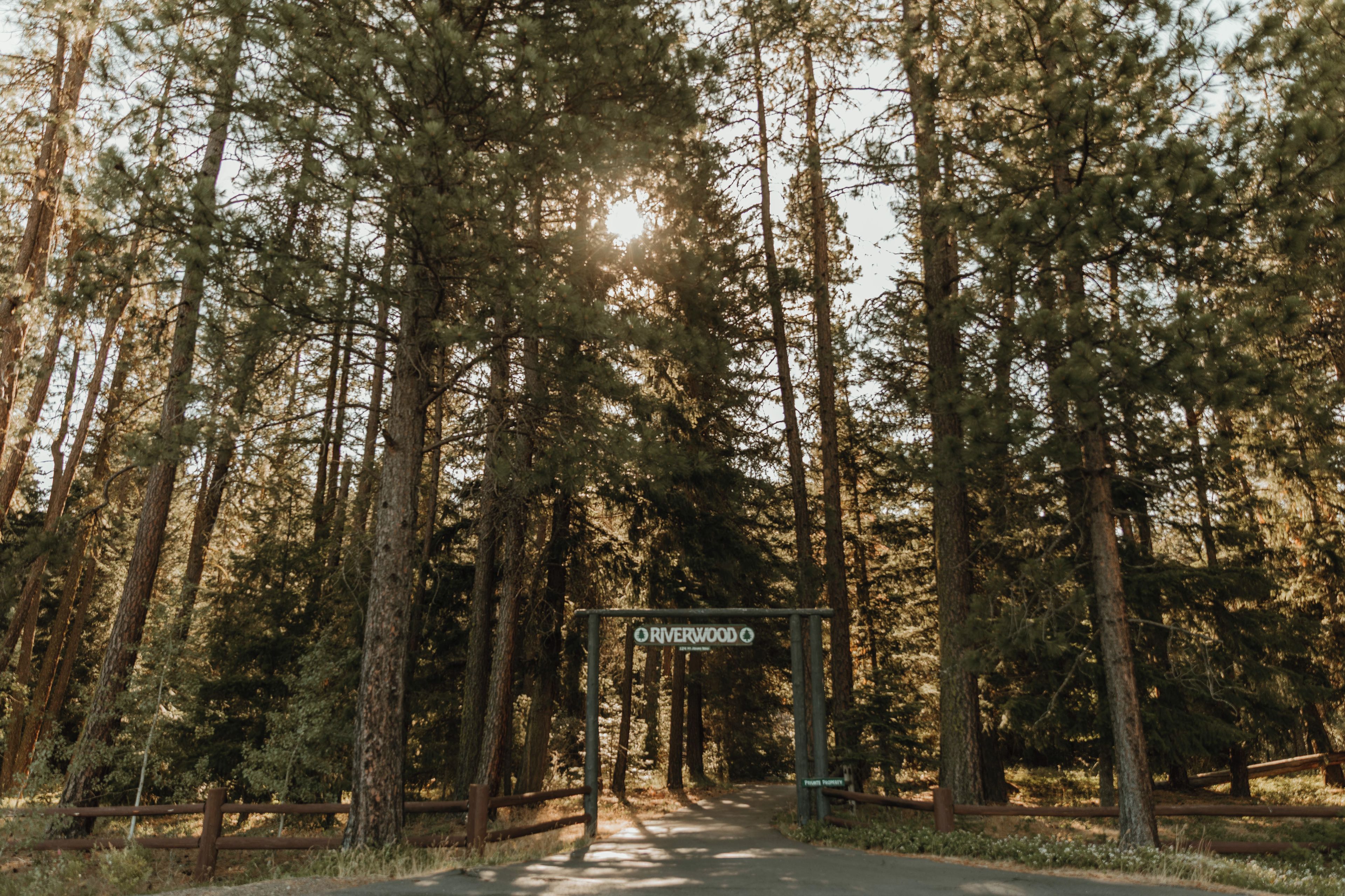 A forested area with a sign indicating 'Riverwood.'
