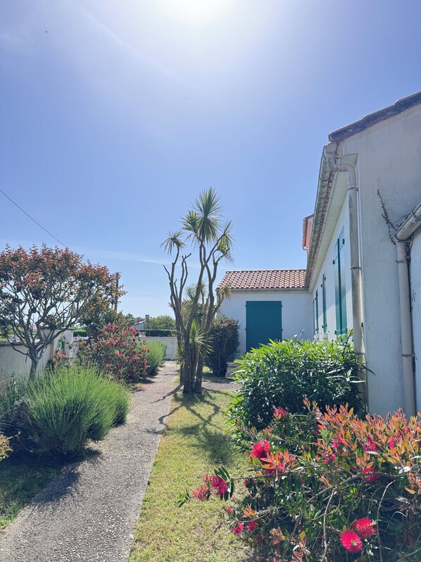 A garden with a gravel path, palm trees, and flowering plants. - The Lighthouse Villa (Saint-Denis-d'Oléron)