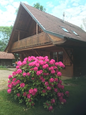 Eine Holzhütte mit einem Balkon, umgeben von üppigem Grün und rosa Blumen.