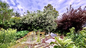 Um jardim com diversas plantas e um caminho de pedra.