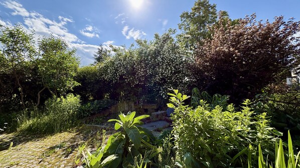 Un jardín con diversas plantas y árboles, un sendero de piedra y un muro de piedra.