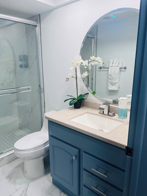 Shower, hair dryer, towels, soap