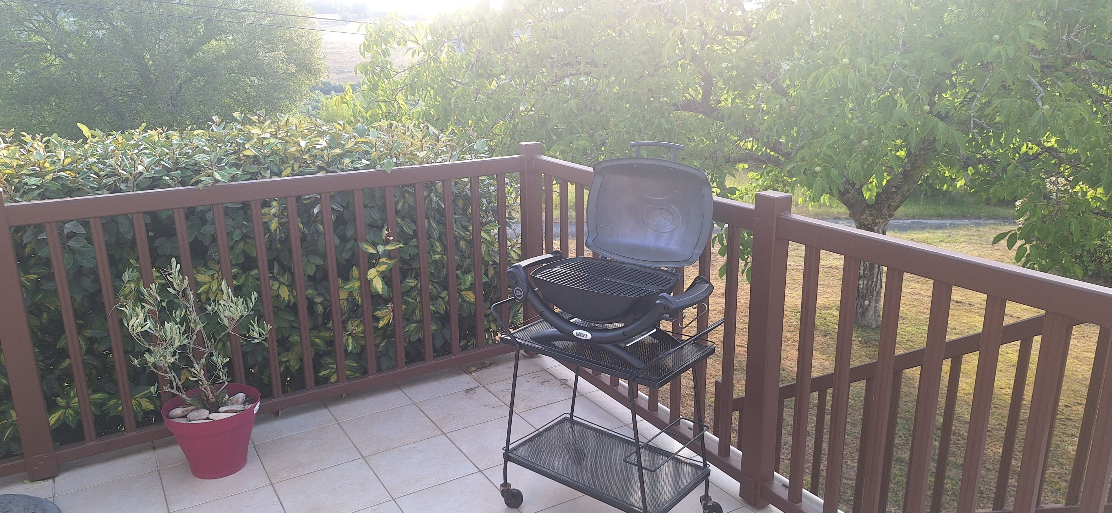 Un balcone con una griglia per barbecue, una pianta in vaso e un pavimento piastrellato.